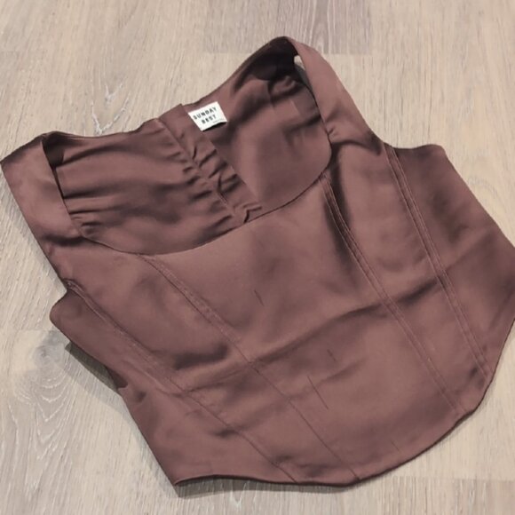 Aritzia Shiloh Brown Satin Corset Top - Picture 9 of 10